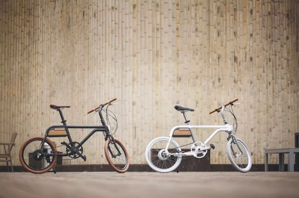 盘点：在造自行车的团队里，你最看好哪个？11