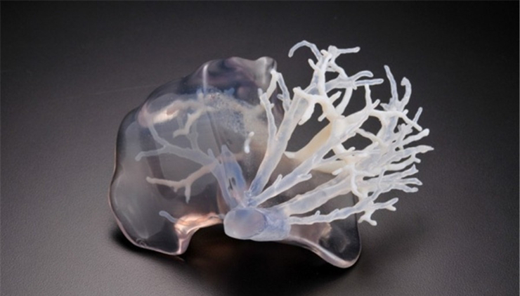 全球首款3D生物血管打印机问世，器官再造有望1