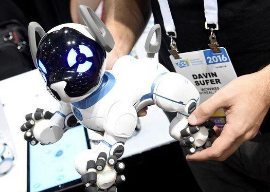 CHiP智能机器狗，堪称年度最萌汪星机器人2