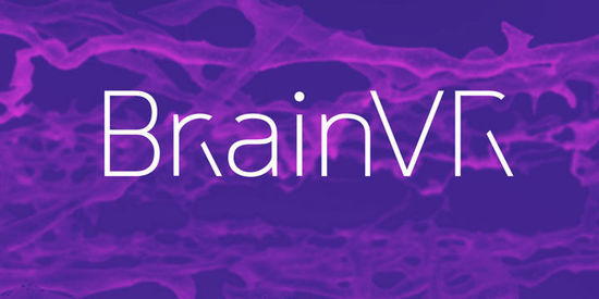 大脑到底长啥样？Brain VR让神经科学可视化