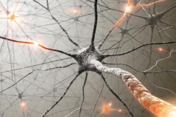 模仿人类神经运作方式，韩研究团队打造逆天人造神经