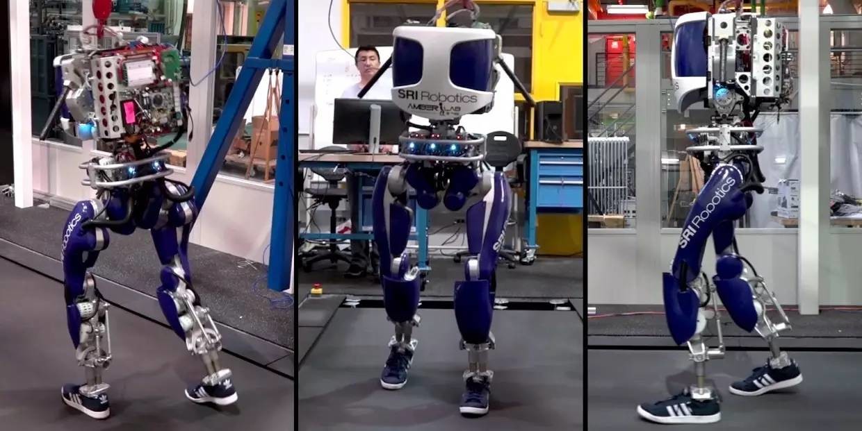 快看！这个机器人穿着人类的鞋子在走路