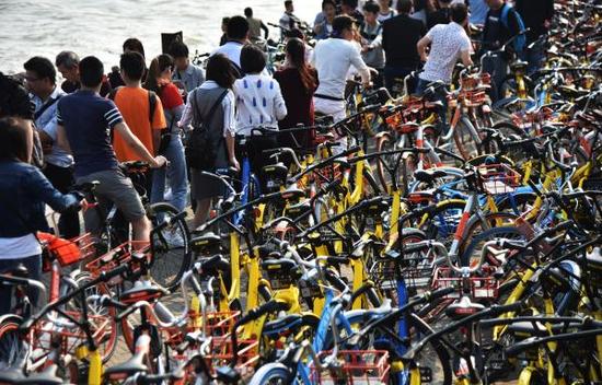 深圳湾公园被挤爆，5家运营商连夜将共享单车搬离