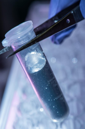 莱斯大学研制出看似柔弱，实则坚不可摧的新型复合材料