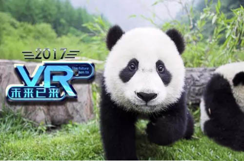 熊猫VR主题乐园来袭，国宝的卖萌事业要全球化