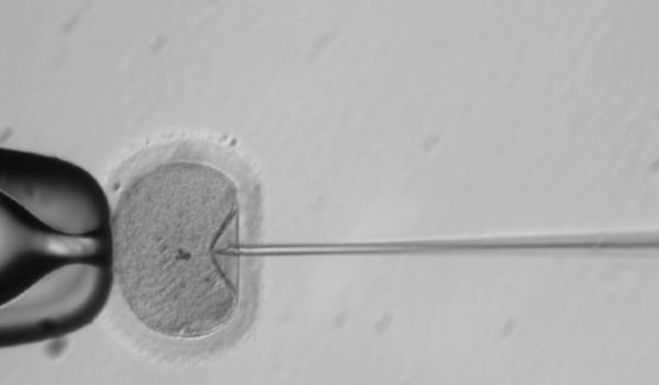 美科学家推出最新编辑DNA技术，转基因婴儿再引热议