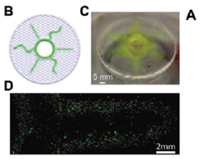 3D生物打印药物，给人类带去了更可靠、更有效的药物治疗方式