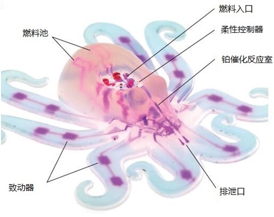 一文读懂柔性机器人，看似柔若无骨的背后有哪些黑科技