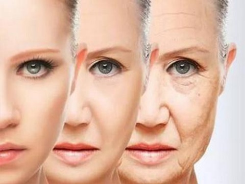 科学家揭示个体衰老速度差异之谜，为抗衰老研究开辟新的道路