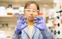 MIT研究团队研制“分子开关”，以此制造低成本热电池