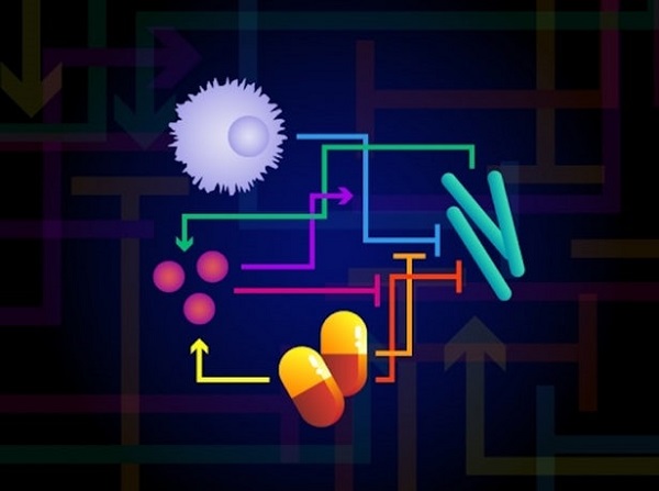 哈佛联合MIT研究证明：抗生素会直接削弱人体的免疫系统