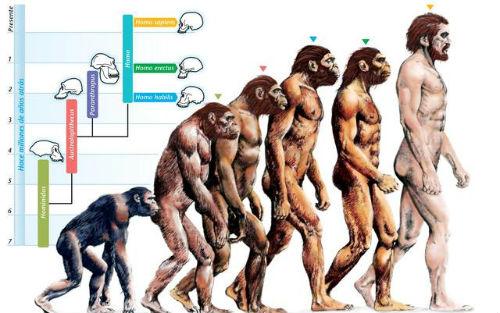 人类从猴子进化而来，为何现在还有猴子？