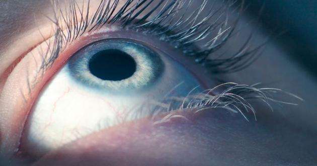 科学家用AI系统检测眼疾，比专业医生和验光师还强