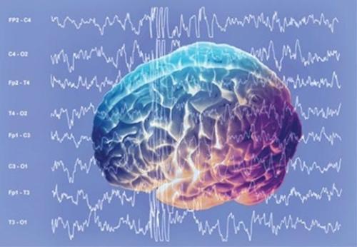 研究团队发现大脑产生“冲动”的兴奋机制，通过电脉冲实现有效干预