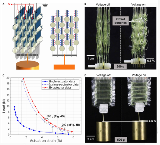科学家研发全新柔性机械肌肉，成本仅需几美分