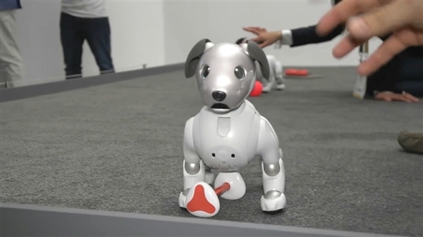 18年磨一狗，索尼人工智能机器狗回来了