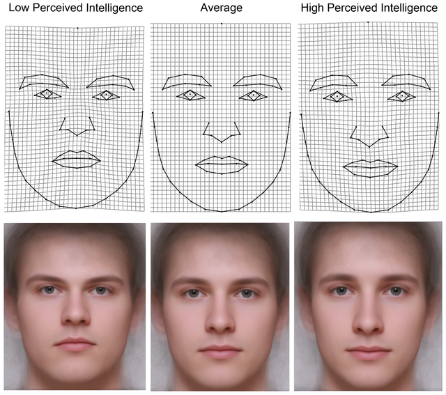脸型决定人智商高低么？