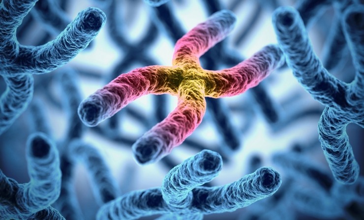 检查乙肝病毒dna_病毒dna检查_乙肝病毒dna定量检查