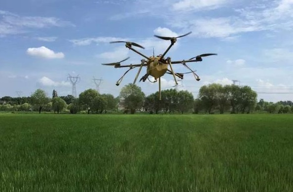 乐乐飞冯飞：顺应“精准农业”大方向，以特色系统打入植保无人机市场