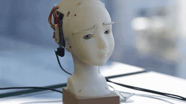 Takayuki Todo研发机器人SEER，可模仿复制人类表情