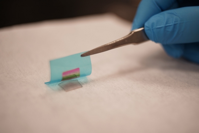 MIT研发新方法，用特殊材料制作柔性电子