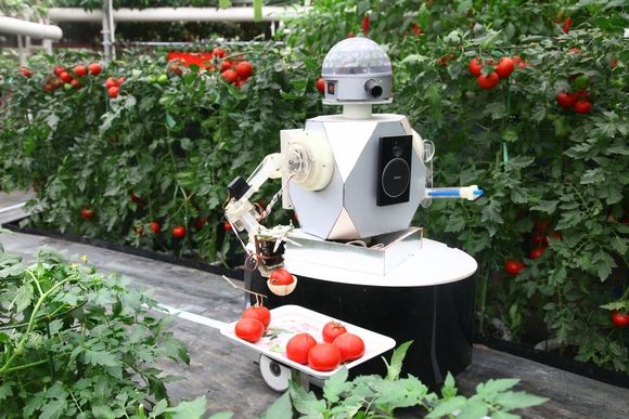 吴恩达都在做的AI农业到底有什么魔力？