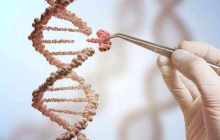 “基因编辑婴儿”惹争议，三位学者却指出应用前景