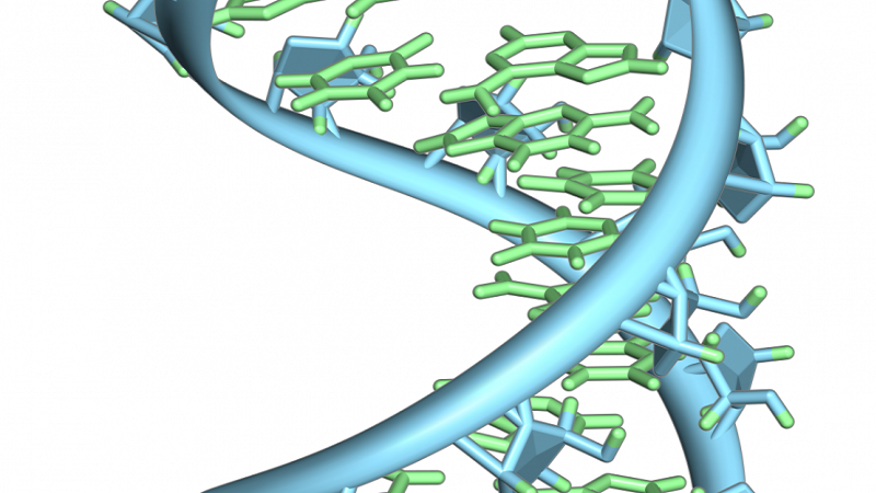 RNA与DNA曾是一体，生命起源论或被颠覆